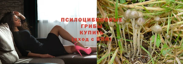 крисы Лабытнанги