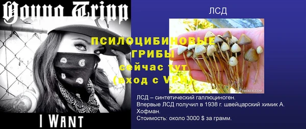 крисы Лабытнанги