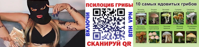 Псилоцибиновые грибы Magic Shrooms Купить закладки Лукоянов